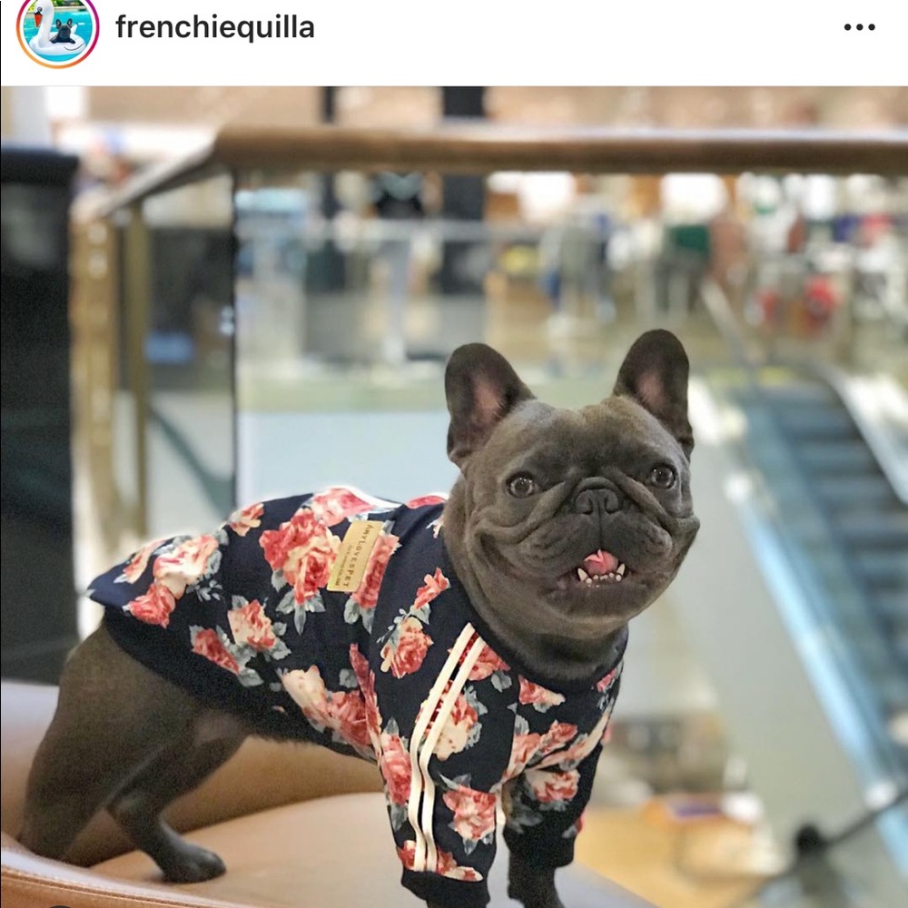 Dog tee, dog jacket, dog clothes, floral jumper